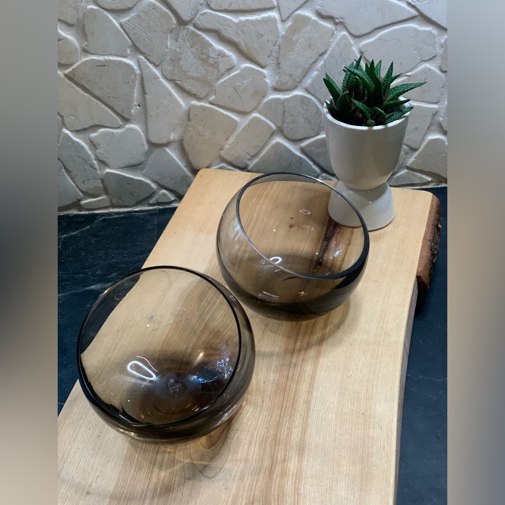 TERRARIUM BOWLS | Set of 2 | Smoky Glass Slant Edge Round Planters